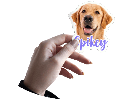 footer sticker photo