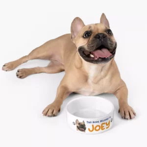 Personalized Dog Bowl With Photo and Name