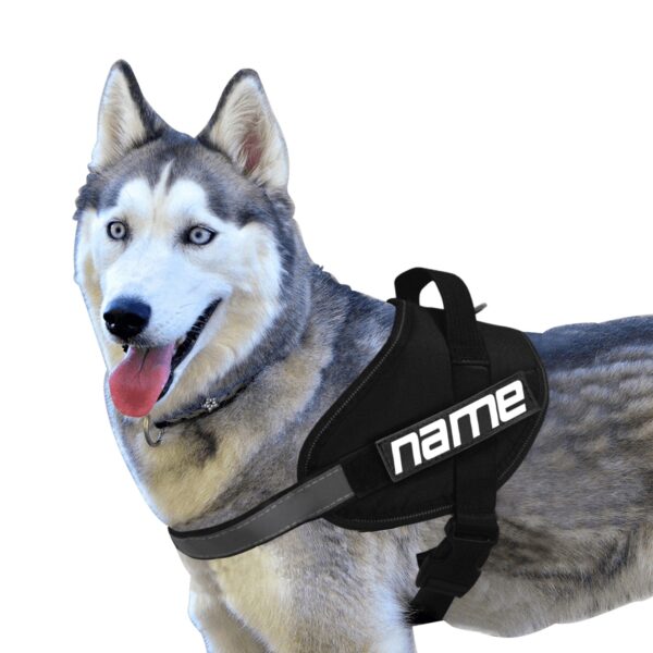 Custom Dog Chest Strap With Name 2